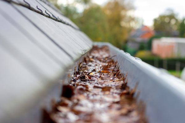 Commercial Gutter Cleaning in Petaluma