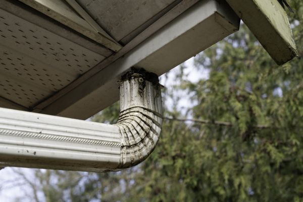Downspout Cleaning in Petaluma