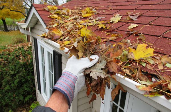 Rain Gutter Cleaning Service in Petaluma
