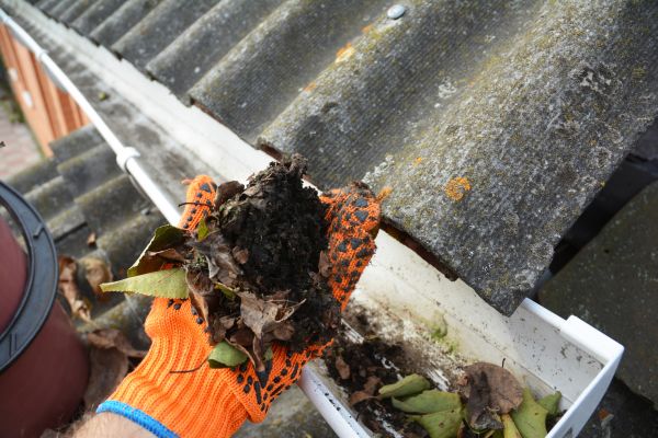 Seamless Gutter Cleaning in Petaluma