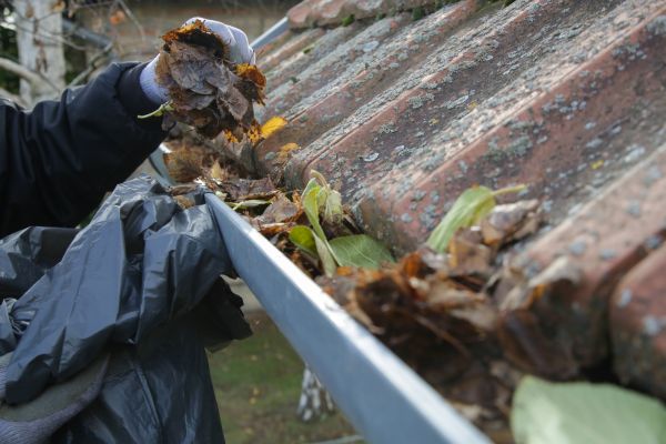 Commercial Gutter Unclogging in Petaluma
