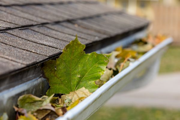 Commercial Downspout Cleaning in Petaluma