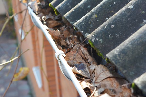 Home Gutter Cleaning in Petaluma
