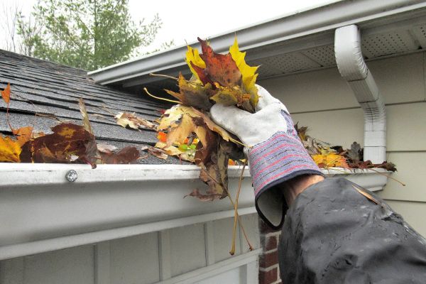 House Gutter Cleaning in Petaluma