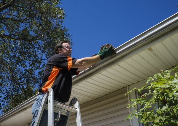 Eavestrough Clearing in Petaluma