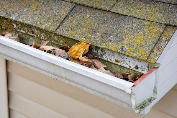 Garage Gutter Cleaning in Petaluma