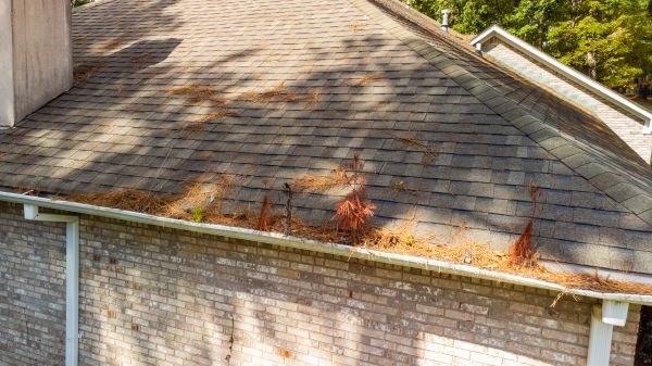 Gutter Pine Needle Removal in Petaluma