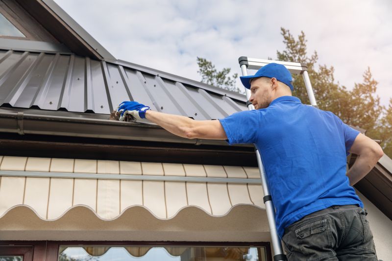 Affordable Gutter Cleaning